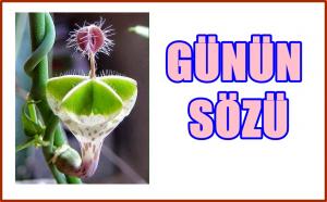 &nbsp; Günün sözü &nbsp; “GÜZEL GÖREN GÜZEL DÜŞÜNÜR, GÜZEL DÜŞÜNEN