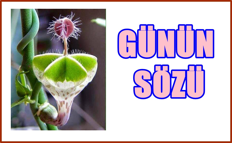 &nbsp; Günün sözü &nbsp; “GÜZEL GÖREN GÜZEL DÜŞÜNÜR, GÜZEL DÜŞÜNEN