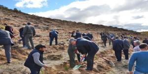 Gümüşhane’nin Köse ilçesine bağlı Kayadibi Köyü’nde 400 dönümlük alana 41