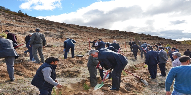 Gümüşhane’nin Köse ilçesine bağlı Kayadibi Köyü’nde 400 dönümlük alana 41
