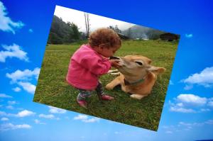 &nbsp; &nbsp; SEVGİNİN DİLİ…