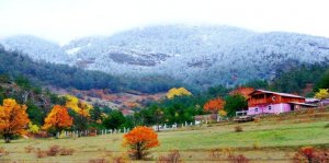 (FOTOĞRAF: İBRAHİM ÖZDEMİR) &nbsp; &nbsp;