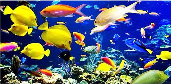 Beden gözü yaratılanı görüyorsa, Akıl gözü de o yaratılanı yaratan