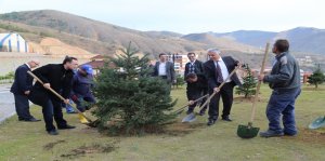 &nbsp; Gümüşhane Üniversitesinde 2010 yılında başlatılan kampüs ağaçlandırma çalışmaları kapsamında