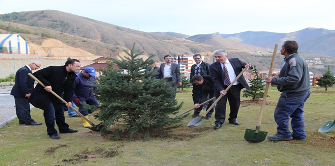 &nbsp; Gümüşhane Üniversitesinde 2010 yılında başlatılan kampüs ağaçlandırma çalışmaları kapsamında
