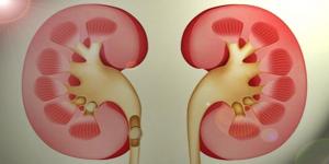 &nbsp; Kronik böbrek yetmezliği son yıllarda giderek artış gösteriyor. Hastalar