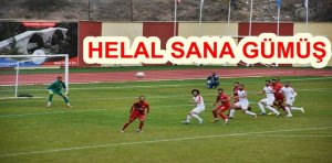 Spor Toto 2. Lig Kırmızı Grupta yer alan temsilcimiz Gümüşhanespor,