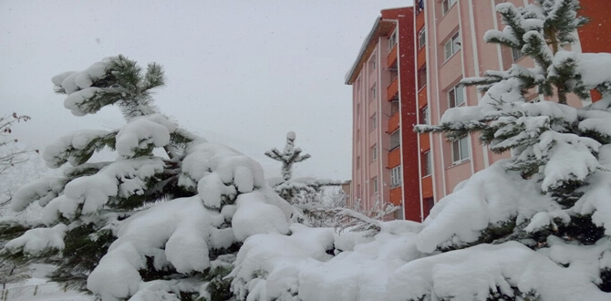 1 Aralık 2016 Perşembe gecesi başlayan ve Türkiyemizin pek çok