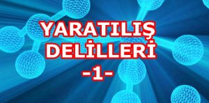 &nbsp; &nbsp; &nbsp; &nbsp;