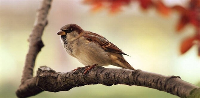 02.12.2016 Cuma günü tüm Türkiye’de camilerde okunan hutbe metninde yer
