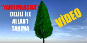 Kainatta yaratıklar arasındaki “YARDIMLAŞMA” Allah’ı anlatıyor. Hep beraber VİDEO’YU İZLEYELİM.