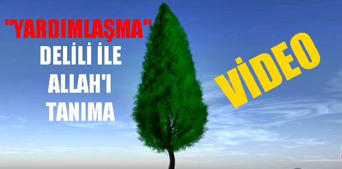 Kainatta yaratıklar arasındaki “YARDIMLAŞMA” Allah’ı anlatıyor. Hep beraber VİDEO’YU İZLEYELİM.