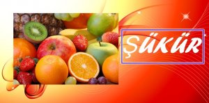 ŞÜKÜR Hâlık-ı Rahman’ın ibadından (kullarından) istediği en mühim iş, şükürdür.