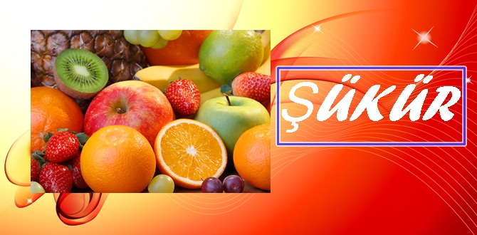 ŞÜKÜR Hâlık-ı Rahman’ın ibadından (kullarından) istediği en mühim iş, şükürdür.