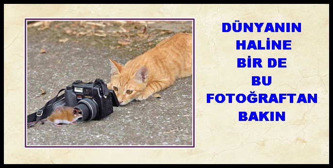 DÜNYANIN HALİNE BİR DE BU FOTOĞRAFTAN BAKIN &nbsp; &nbsp; &nbsp;