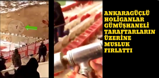 Gümüşhanespor Taraftarlar Birliği’nin  13 Şubat 2017 pazartesi günü yaptığı açıklamada;