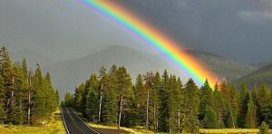 “Cenâb-ı Hakka iman eden, elbette O’na itaat edecek. Ve itaat