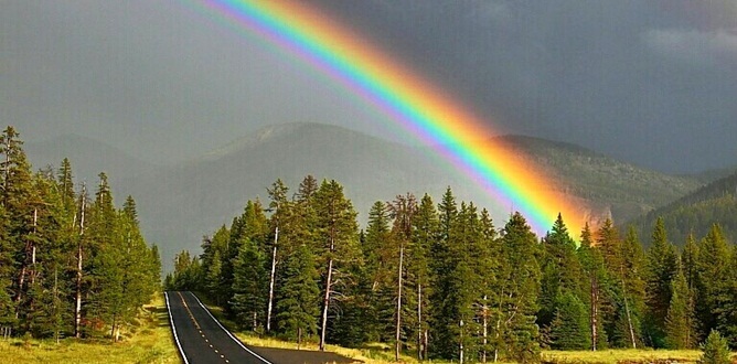 “Cenâb-ı Hakka iman eden, elbette O’na itaat edecek. Ve itaat