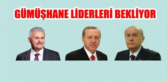 16 Nisan 2017 Pazar günü yapılacak olan Anayasa Değişikliği Referandumu