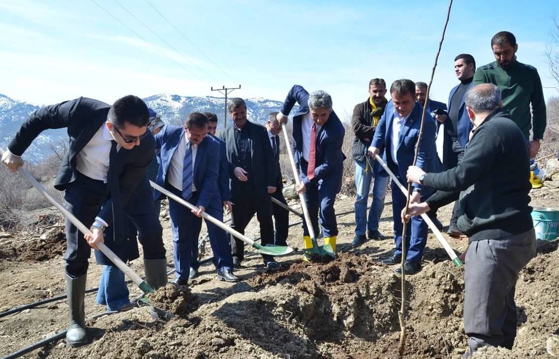 Gümüşhane Valisi Okay Memiş’in talimatıyla başlatılan “Ceviz Eylem Planı” kapsamında