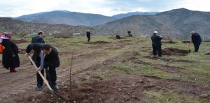 21-26 Mart tarihleri arasında kutlanmakta olan Orman Haftası münasebetiyle 27