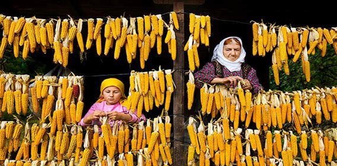 YER              : Gümüşhane- Kürtün-Kırgeriş Köyü FOTOĞRAF: Ödüllü Fotoğraf Sanatçısı Mustafa