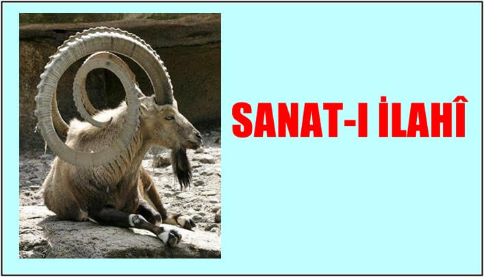 ESER VARSA USTASI VARDIR. SANAT VARSA SANATKÂRI VARDIR. YARATILMIŞLAR YARATICIYI