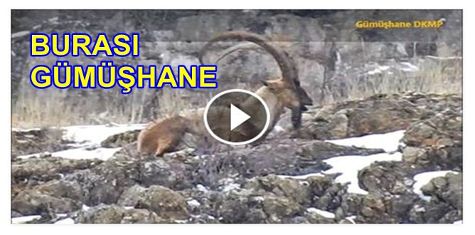 Bu video Gümüşhane’de 27.03.2017 tarihinde çekildi. Allah’ın bize lutfettiği bu 