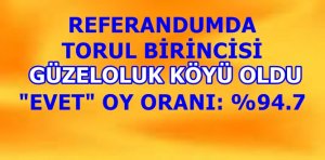16 Nisan 2017 pazar günü yapılan anayasa değişikliği halk oylamasında
