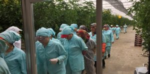 Gümüşhane Üniversitesi ve Doğu Karadeniz Kalkınma Ajansı (DOKA) işbirliğinde yürütülen