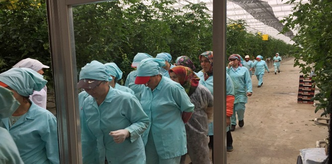 Gümüşhane Üniversitesi ve Doğu Karadeniz Kalkınma Ajansı (DOKA) işbirliğinde yürütülen