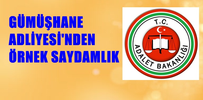 “Gümüşhane Adli Yargı İlk Derece Mahkemesi Adalet Komisyonu 2016 Yılı