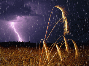 Peygamberimiz Hz. Muhammed’in (sav) Hadislerinde tavsiye ettiği ve İslam geleneğinde
