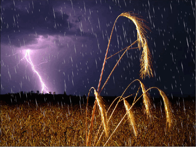 Peygamberimiz Hz. Muhammed’in (sav) Hadislerinde tavsiye ettiği ve İslam geleneğinde