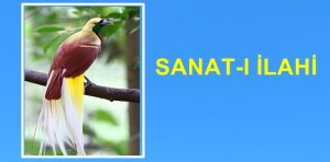 (O, yaratan, var eden, şekil veren Allah’tır. En güzel isimler