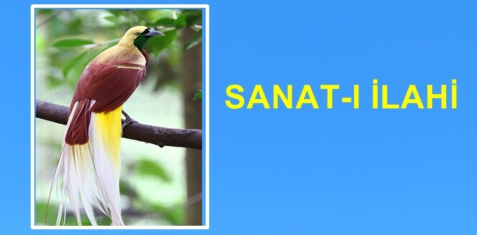 (O, yaratan, var eden, şekil veren Allah’tır. En güzel isimler