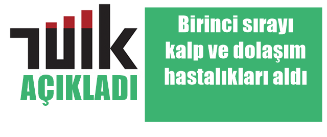 Türkiye İstatistik Kurumu (TÜİK) 2016 yılı ölüm nedeni istatistiklerini açıkladı.