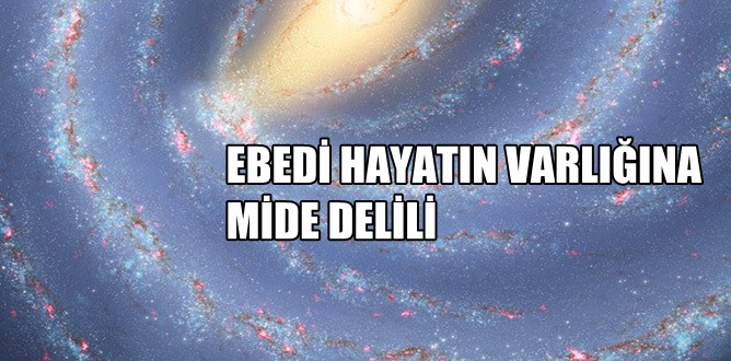 Bediüzzaman Hazretleri Diyor Ki: “Acaba senin cisminde, senin bahçende ve