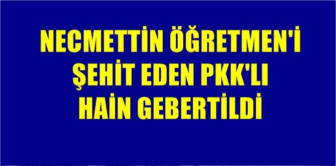 16 Temmuz 2017 Pazar günü Tunceli’de öldürülen teröristin “Seyit Rıza”