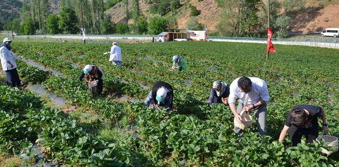 Gümüşhane Valisi Okay Memiş, beraberinde İl Emniyet Müdürü Orhan Kar,