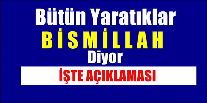 BÜTÜN YARATIKLAR BİSMİLLAH DİYOR (BİRİNCİ SÖZ) (B.S.Nursi – Sözler Kitabı