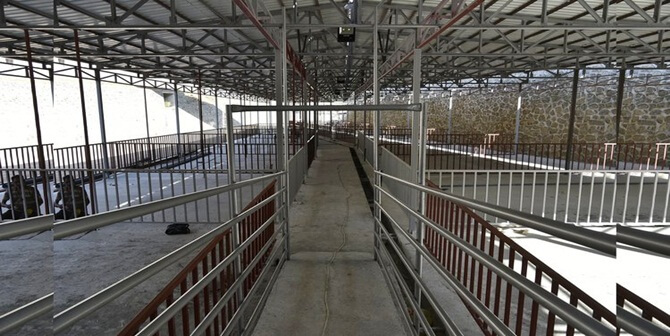 *Gümüşhane Belediyesi, yaklaşan Kurban Bayramı öncesi yeni hayvan pazarını kullanıma