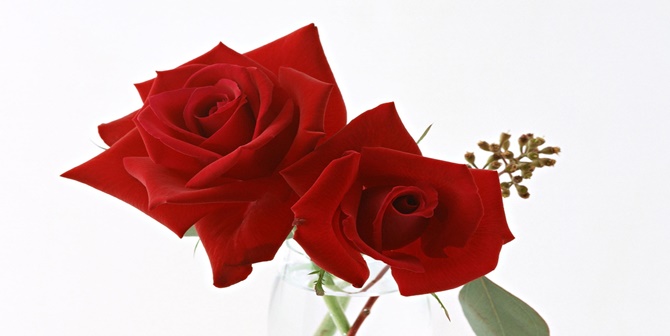 2017-2018 Eğitim öğretim yılı bugün başladı. Bugün binlerce öğrencimiz öğretmenleri