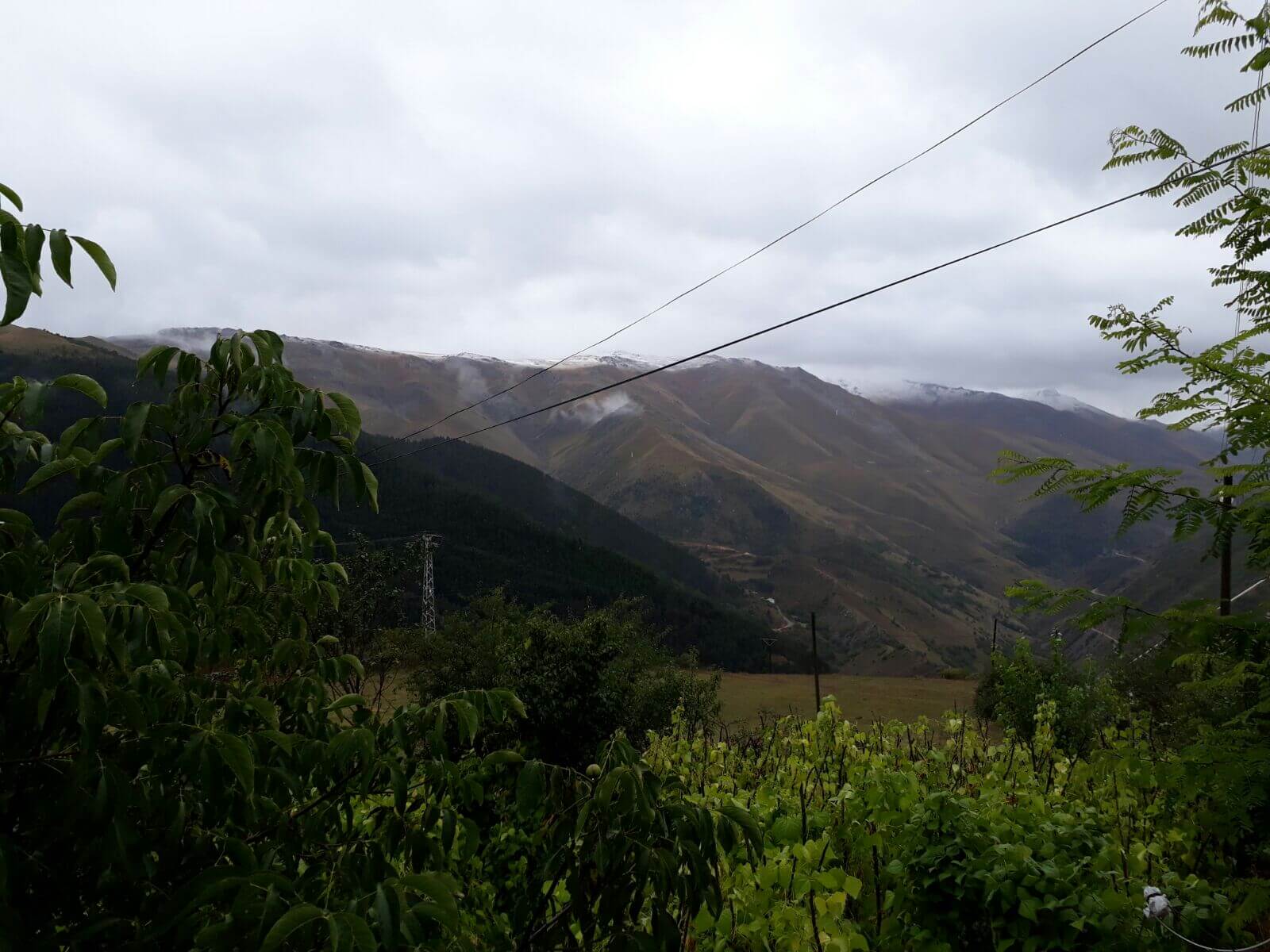Gümüşhane milletvekilleri Hacı Osman Akgül ve Cihan Pektaş,  1 Kasım