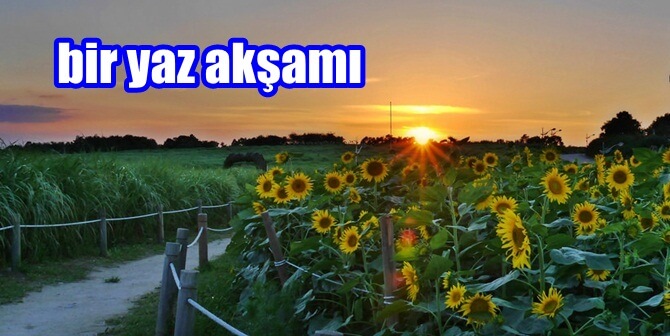 BİR YAZ AKŞAMI (hikaye) Eskitilmiş bir yaz akşamının koynundayım. Güneş