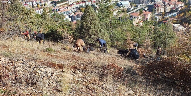 Gümüşhane Valisi Okay Mmemiş’in talimatları ile harekete geçen Gümüşhane Orman