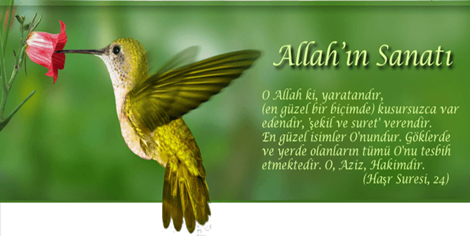 ALLAH’IN SANATI &nbsp;