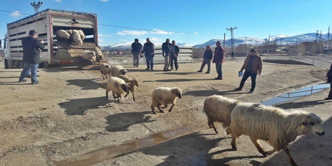 Gıda Tarım ve Hayvancılık Bakanlığı tarafından, tarımda sürdürülebilirliğin sağlanması, gelir