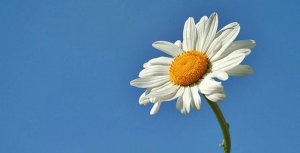 TEFEKKÜR-İ İLAHÎ “Dünya madem fânidir. Hem madem ömür kısadır. Hem