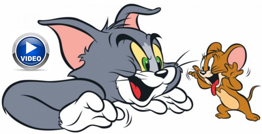 KEDİLER Mİ FARELERLE OYNAR, YOKSA FARELER Mİ KEDİLERLE OYNAR?.. İKİ